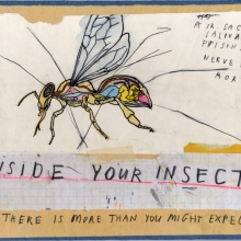 internal_affairs_insect_lo